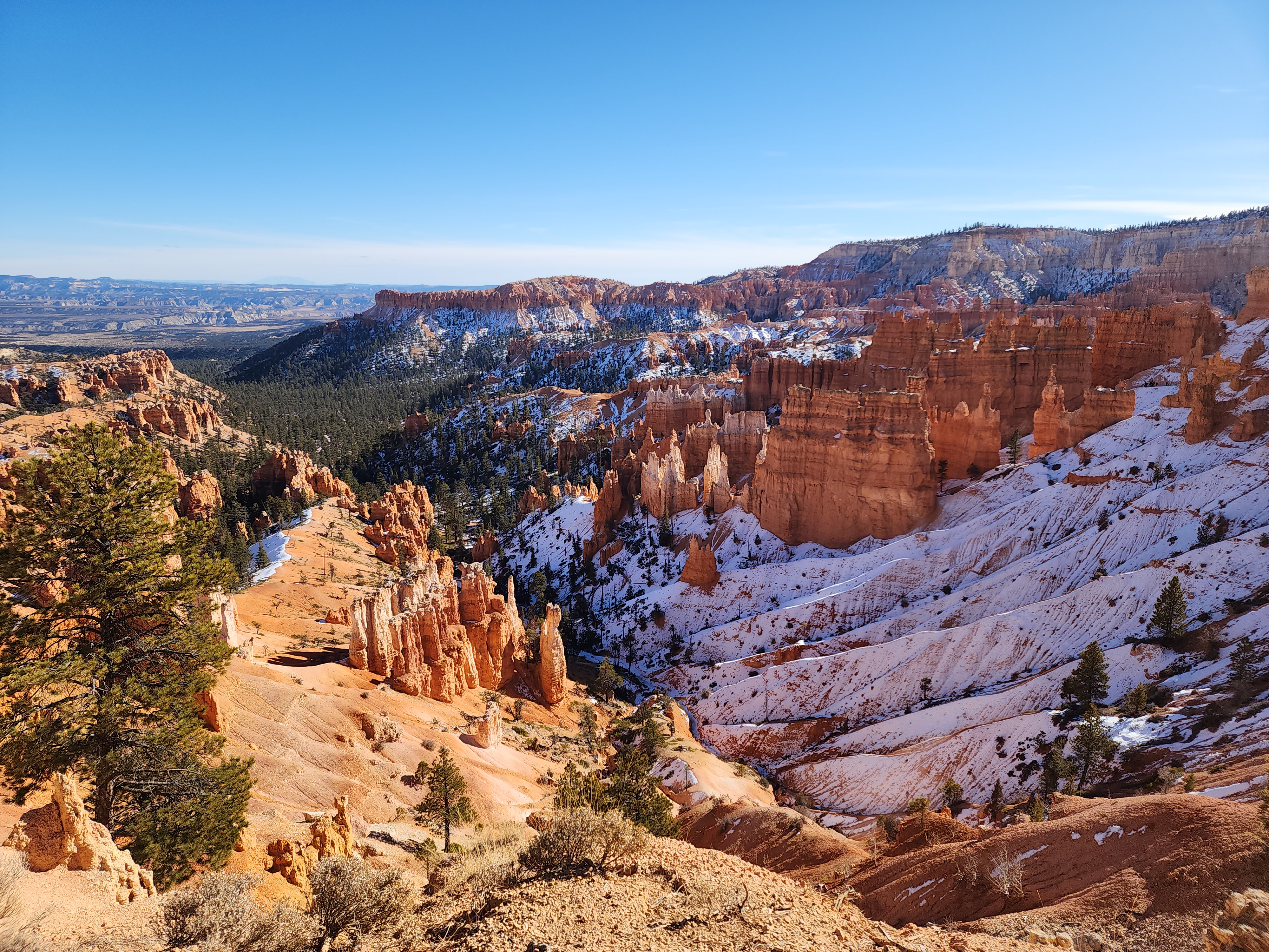 Merchant dashboard overview